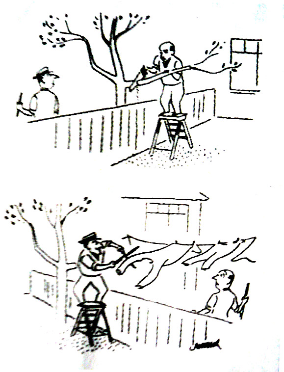 综艺漫画今日热更作品
